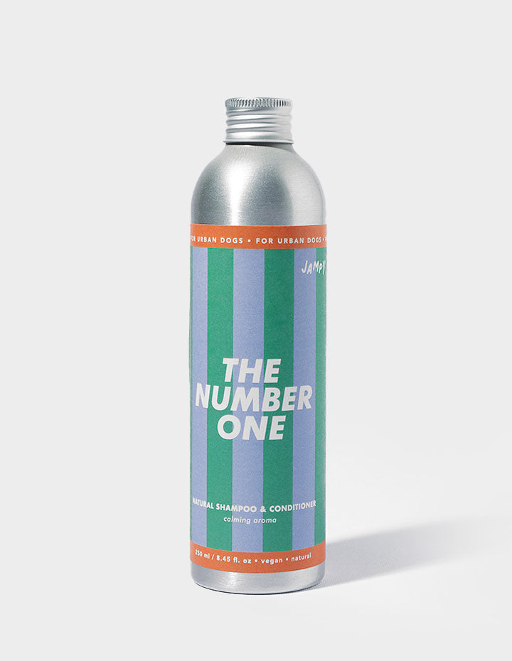 Shampoo "The Number One" 2 in 1